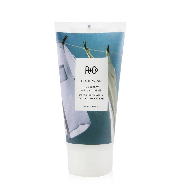 best hair products for fine, flat hair volume -R+Co Cool Wind PH Perfect Air-Dry Creme  147ml/5oz